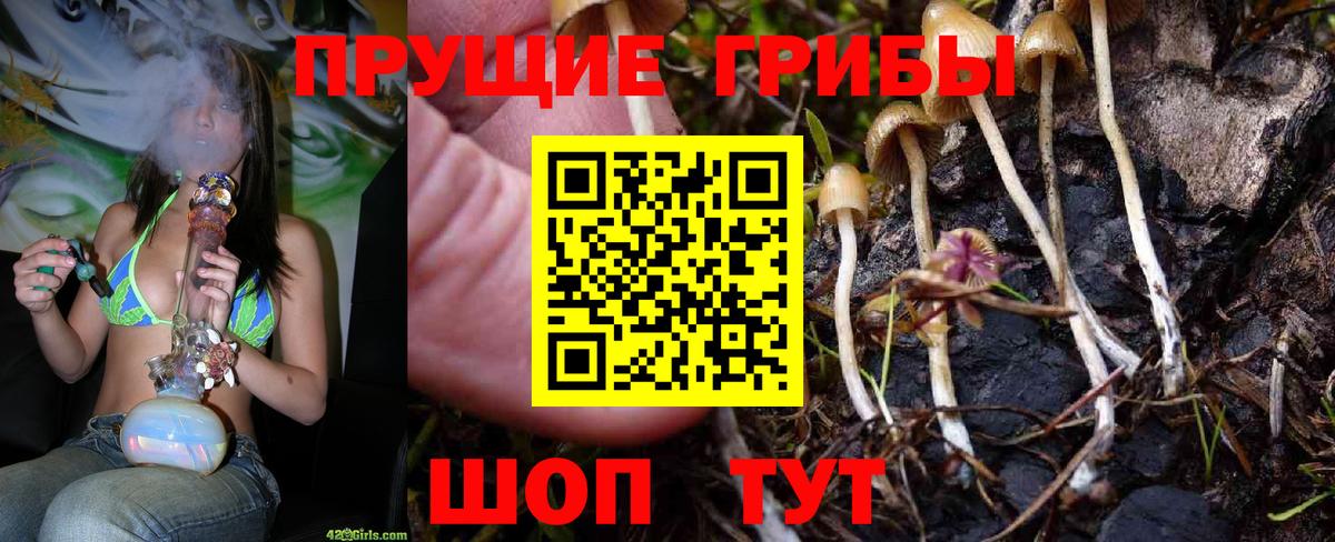 Галлюциногенные грибы прущие грибы Белгород
