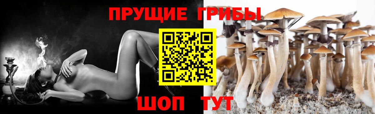 Галлюциногенные грибы мухоморы  Псилоцибиновые грибы мицелий  Белгород  Вход с VPN 